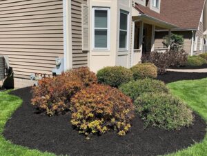 Zales Garden 1