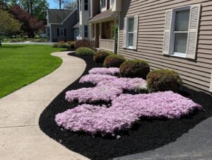 Zales Garden 2