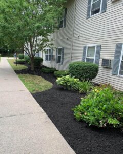 Zales Garden 3