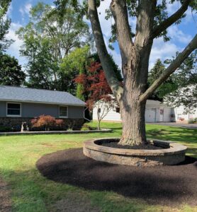 Zales Garden 5