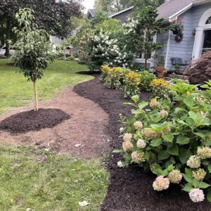 Zales Garden 6