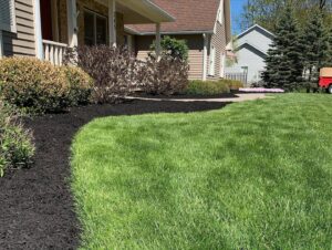 Zales Lawncare 1